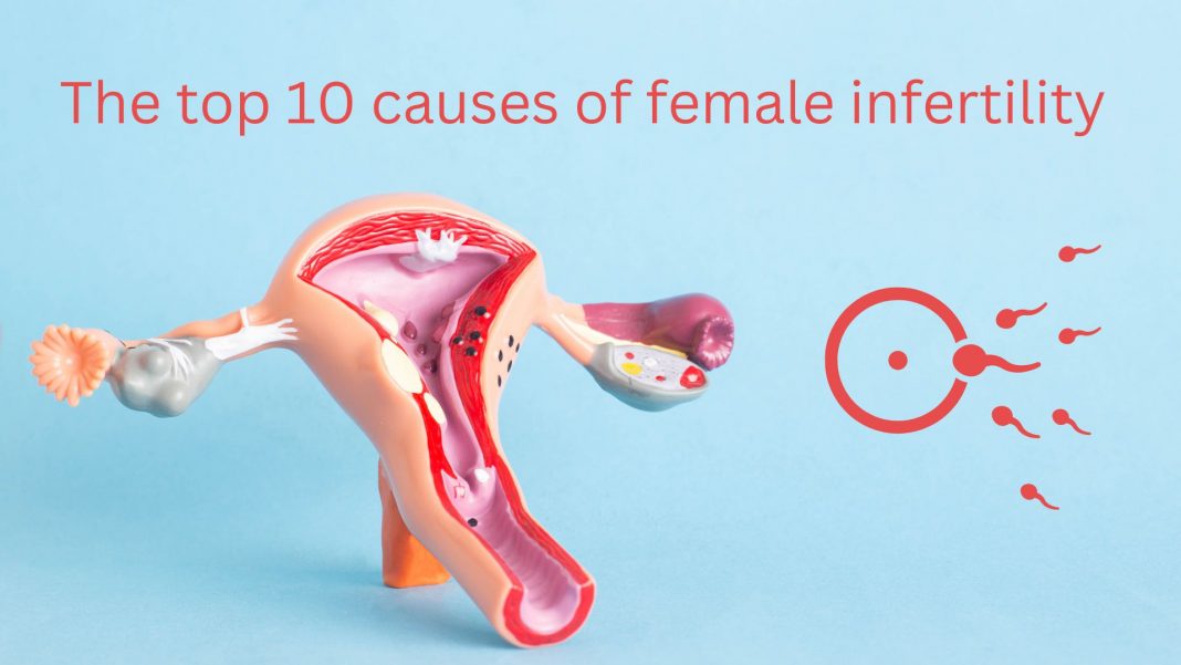 The Top 10 Causes Of Female Infertility