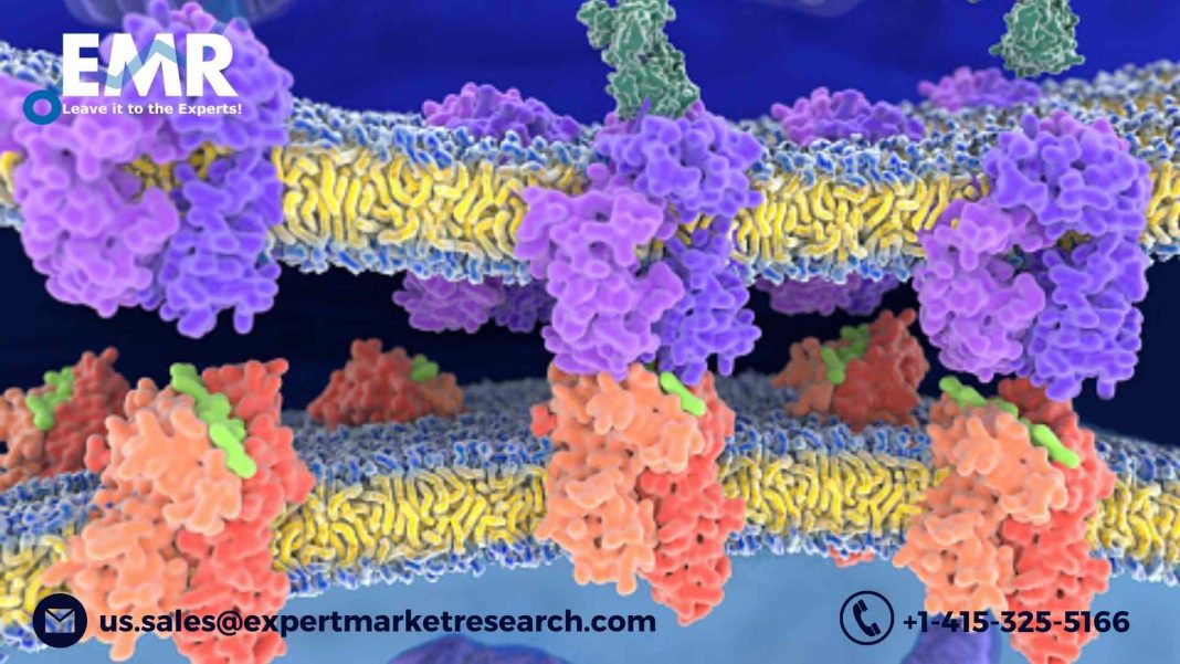 Bone Morphogenetic Proteins Market