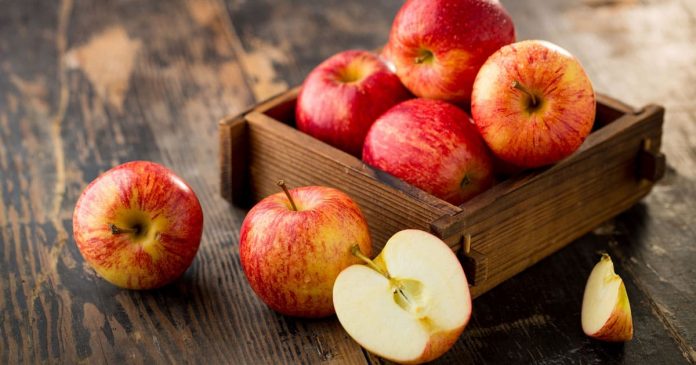 There are many health benefits to eating apples