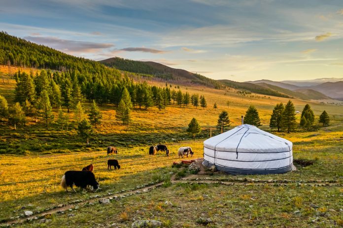 travel to Mongolia