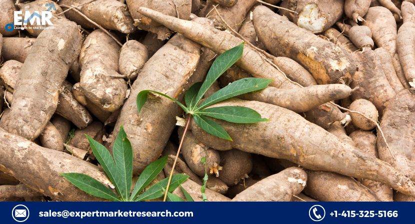 Asia Pacific Cassava Processing Market