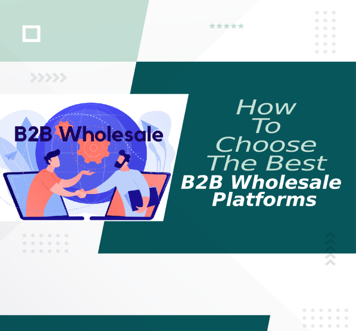 B2B wholesale platforms