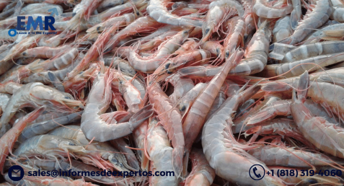 Latin America Shrimp Market